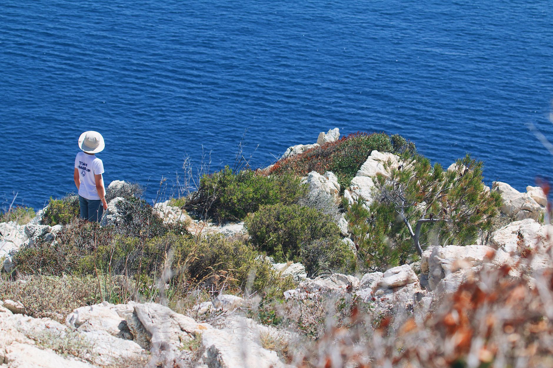 Curators overlooking a pristine coastal landscape